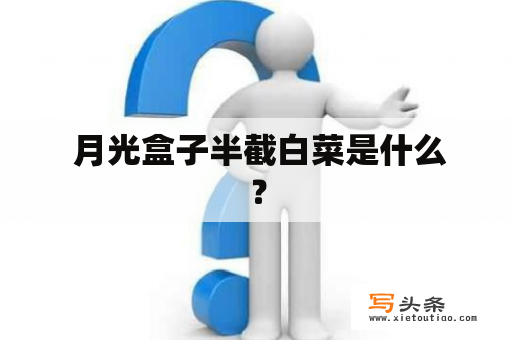  月光盒子半截白菜是什么？