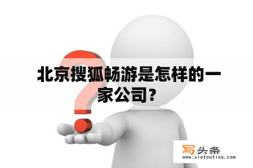  北京搜狐畅游是怎样的一家公司？