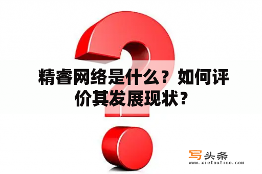  精睿网络是什么？如何评价其发展现状？