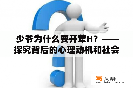  少爷为什么要开荤H？——探究背后的心理动机和社会现象