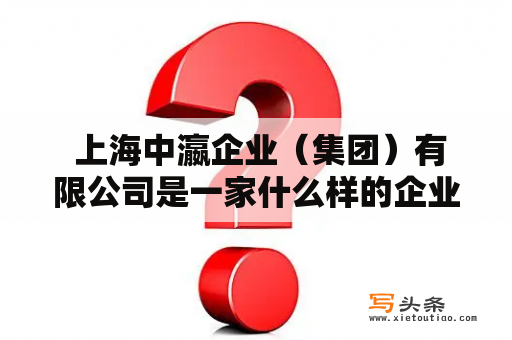  上海中瀛企业（集团）有限公司是一家什么样的企业？