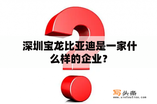  深圳宝龙比亚迪是一家什么样的企业？