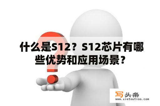  什么是S12？S12芯片有哪些优势和应用场景？