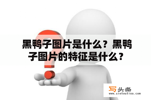  黑鸭子图片是什么？黑鸭子图片的特征是什么？