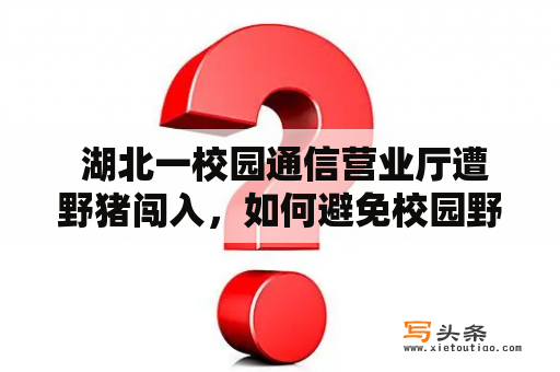  湖北一校园通信营业厅遭野猪闯入，如何避免校园野生动物入侵?