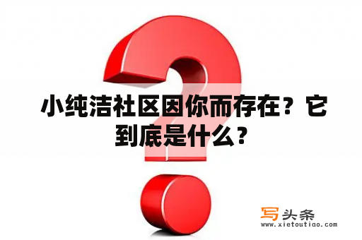  小纯洁社区因你而存在？它到底是什么？