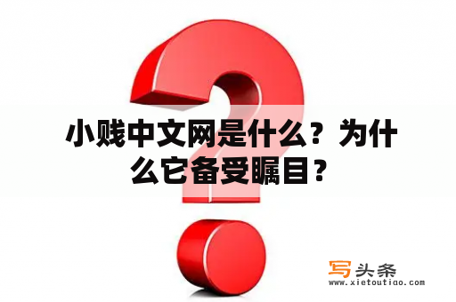  小贱中文网是什么？为什么它备受瞩目？