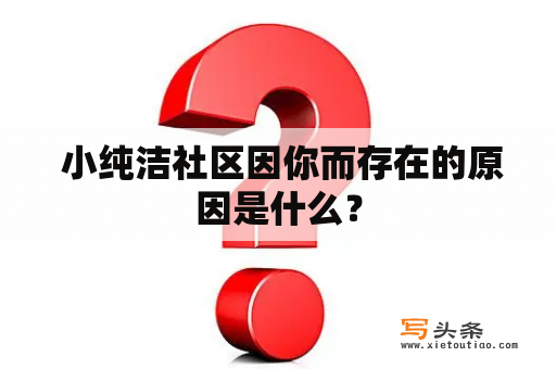  小纯洁社区因你而存在的原因是什么？