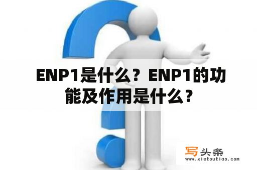  ENP1是什么？ENP1的功能及作用是什么？