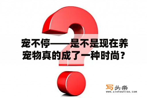  宠不停——是不是现在养宠物真的成了一种时尚？