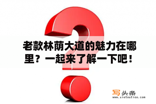  老款林荫大道的魅力在哪里？一起来了解一下吧！