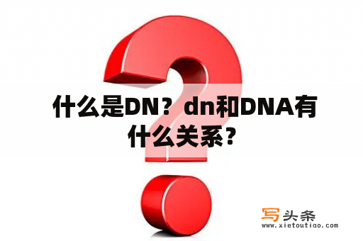  什么是DN？dn和DNA有什么关系？