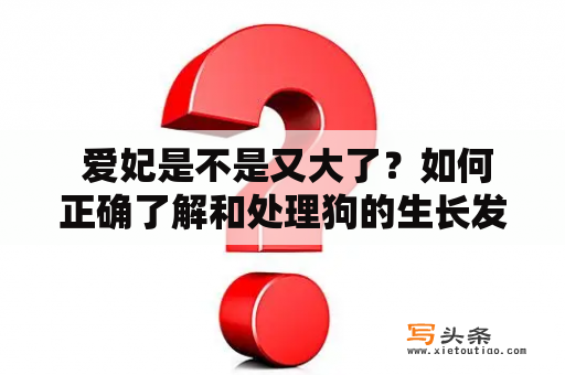  爱妃是不是又大了？如何正确了解和处理狗的生长发育问题？