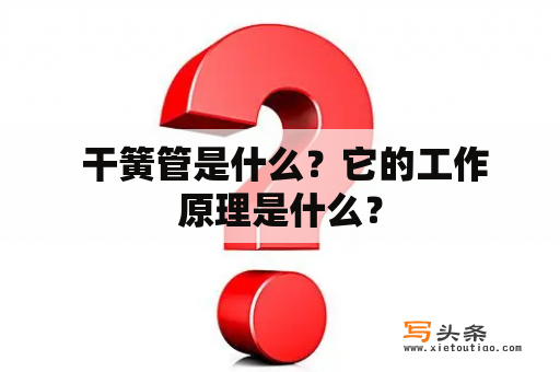  干簧管是什么？它的工作原理是什么？