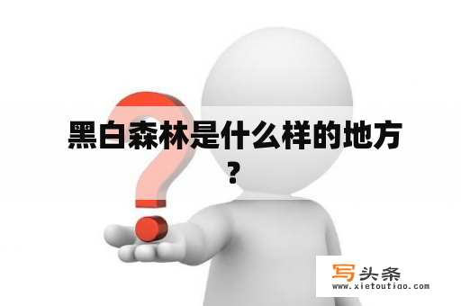  黑白森林是什么样的地方？