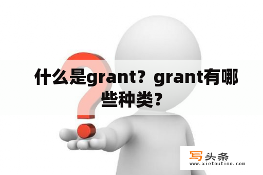   什么是grant？grant有哪些种类？