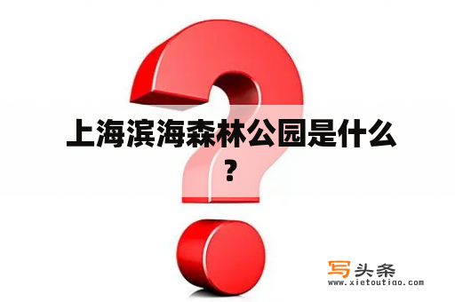  上海滨海森林公园是什么？