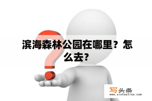  滨海森林公园在哪里？怎么去？