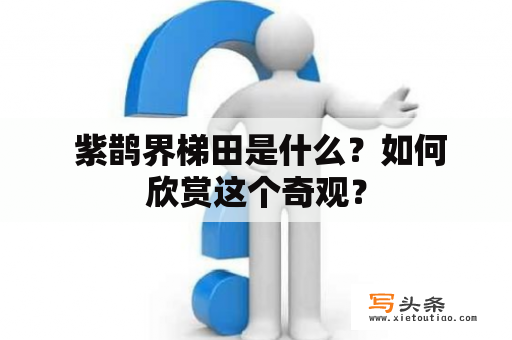  紫鹊界梯田是什么？如何欣赏这个奇观？