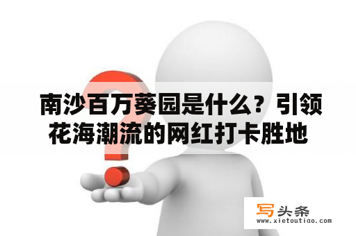  南沙百万葵园是什么？引领花海潮流的网红打卡胜地