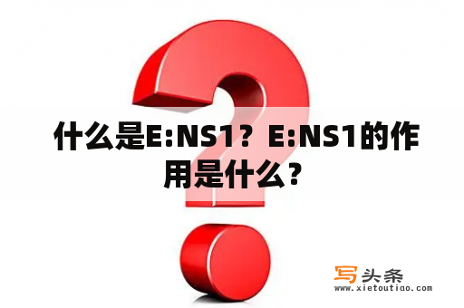  什么是E:NS1？E:NS1的作用是什么？