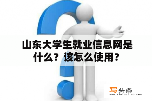  山东大学生就业信息网是什么？该怎么使用？