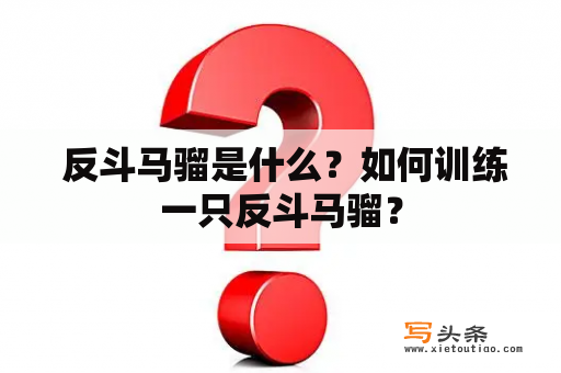  反斗马骝是什么？如何训练一只反斗马骝？