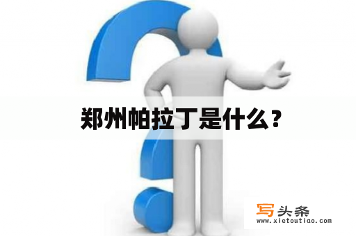  郑州帕拉丁是什么？