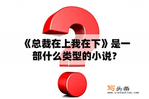  《总裁在上我在下》是一部什么类型的小说？