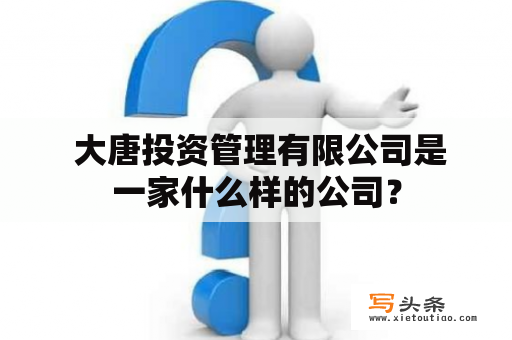  大唐投资管理有限公司是一家什么样的公司？