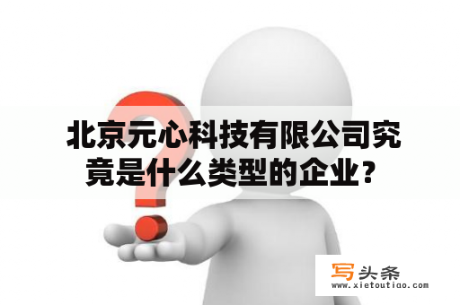  北京元心科技有限公司究竟是什么类型的企业？