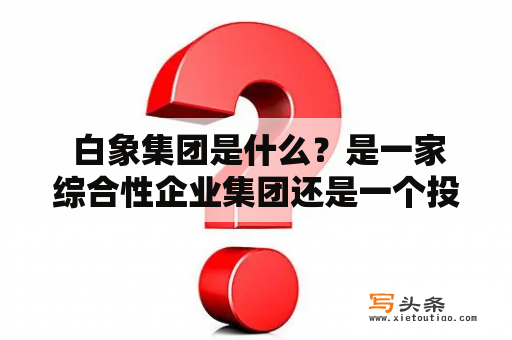  白象集团是什么？是一家综合性企业集团还是一个投资公司？