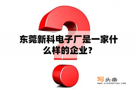  东莞新科电子厂是一家什么样的企业？