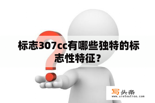  标志307cc有哪些独特的标志性特征？