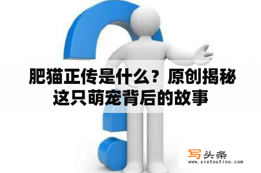  肥猫正传是什么？原创揭秘这只萌宠背后的故事
