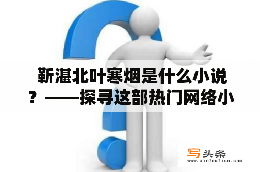  靳湛北叶寒烟是什么小说？——探寻这部热门网络小说的背后故事