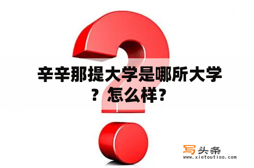  辛辛那提大学是哪所大学？怎么样？