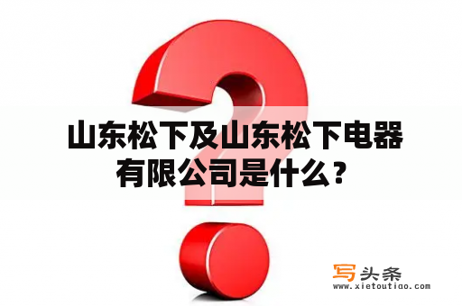  山东松下及山东松下电器有限公司是什么？