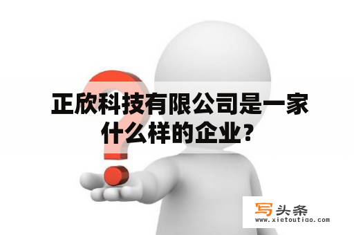  正欣科技有限公司是一家什么样的企业？