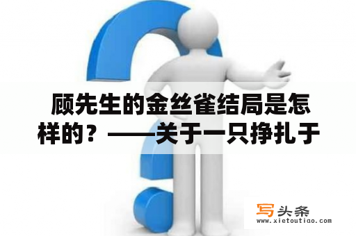  顾先生的金丝雀结局是怎样的？——关于一只挣扎于命运中的小鸟