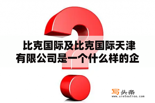  比克国际及比克国际天津有限公司是一个什么样的企业？