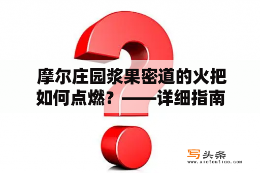  摩尔庄园浆果密道的火把如何点燃？——详细指南