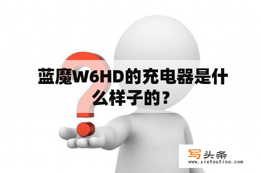  蓝魔W6HD的充电器是什么样子的？