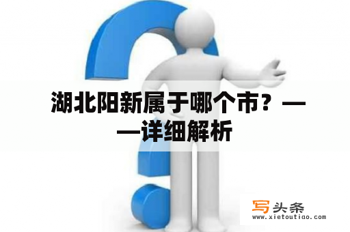  湖北阳新属于哪个市？——详细解析