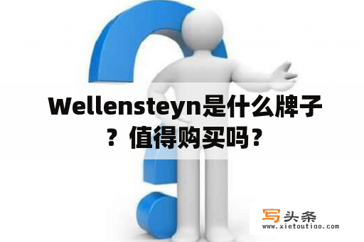  Wellensteyn是什么牌子？值得购买吗？