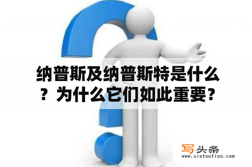  纳普斯及纳普斯特是什么？为什么它们如此重要？