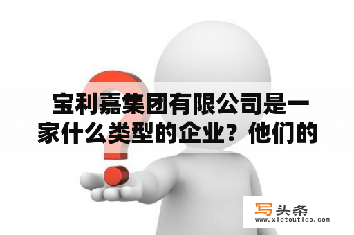  宝利嘉集团有限公司是一家什么类型的企业？他们的主要业务领域有哪些？