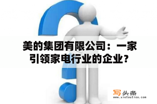  美的集团有限公司：一家引领家电行业的企业？