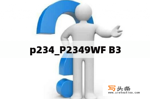 p234_P2349WF B3