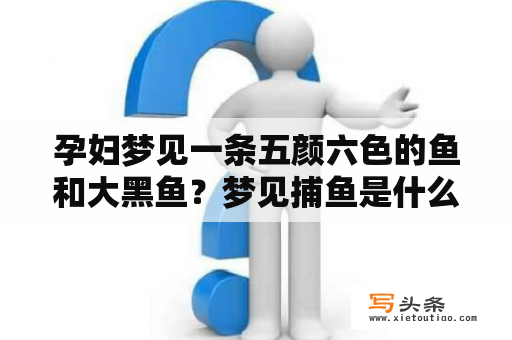 孕妇梦见一条五颜六色的鱼和大黑鱼？梦见捕鱼是什么预兆